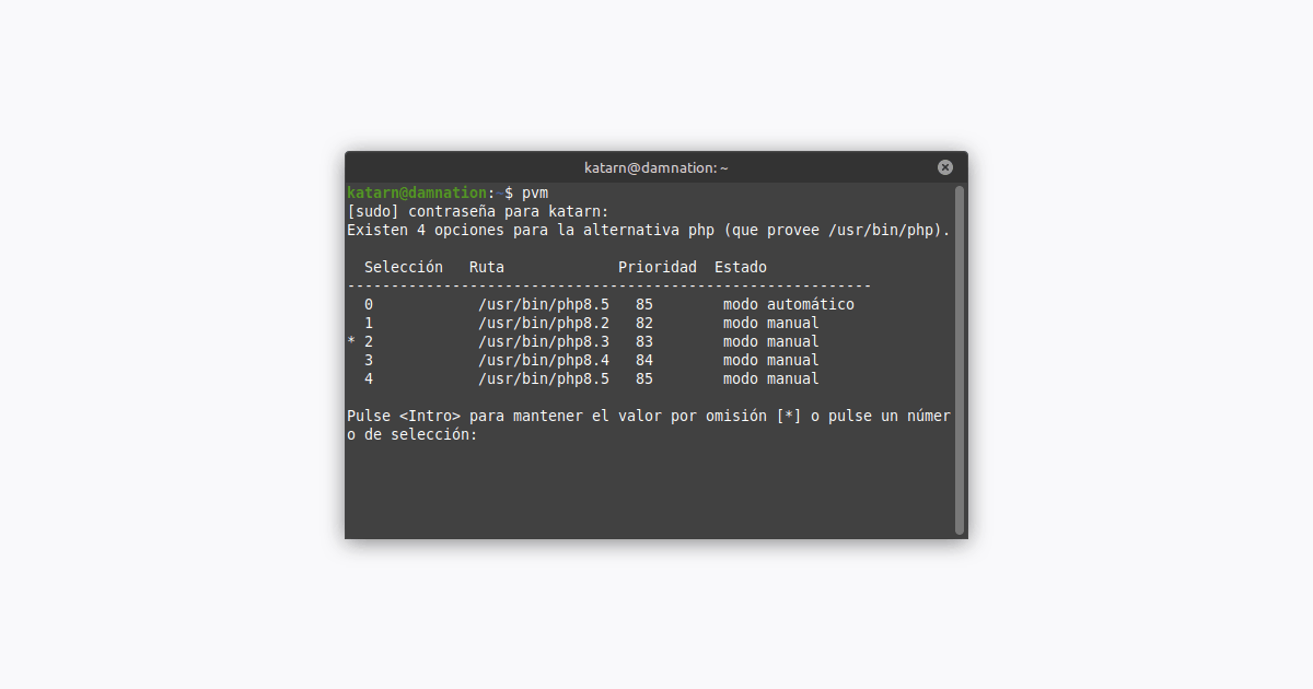 Ilustración de un terminal con varias versiones de PHP conectado mediante un puente a varios contenedores.
